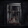 thumbnail image 3 of Halloween Ghost Curtain Decorations Ghost Window Door Cover Decorations for Indoor Outdoor Party Decor Spooky Blood Ghost Halloween Party Hanging Decor Halloween Window Decorations Door Cover, 3 of 5