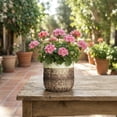 thumbnail image 2 of Ordivic 6 Inch Brown Ceramic Planter with Drainage Hole – Round Flower Pot for Succulents, Orchids, Rustic Indoor Outdoor Decor, 2 of 7