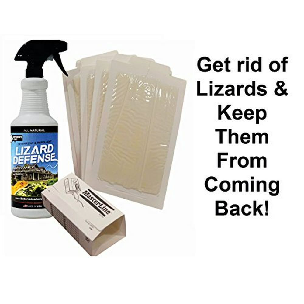 Lizard and Gecko Defense Set for Home UseRepellent Plus 6 Glue Boards