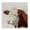 Farm Friend Cow, variant on Stupell Industries Rustic Lodge Penny The Highland Cow Canvas Art, 17 x 17, by Lux   Me Designs