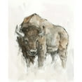 thumbnail image 3 of Harper, Ethan 20x24 Black Modern Framed Museum Art Print Titled - American Buffalo II, 3 of 5