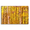 thumbnail image 1 of Epic Art 'Aspen Autumn' by Mark A Paulda, Acrylic Glass Wall Art, 16"x12", 1 of 8
