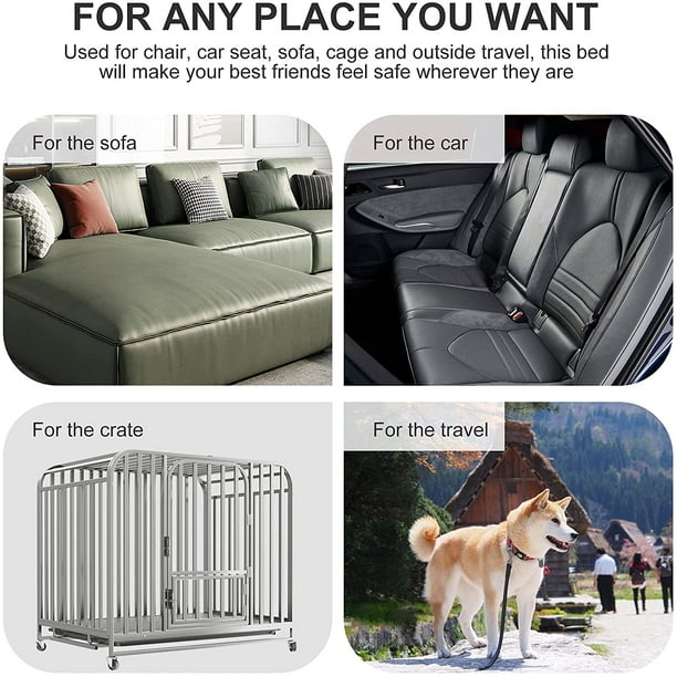 Best crate bed discount