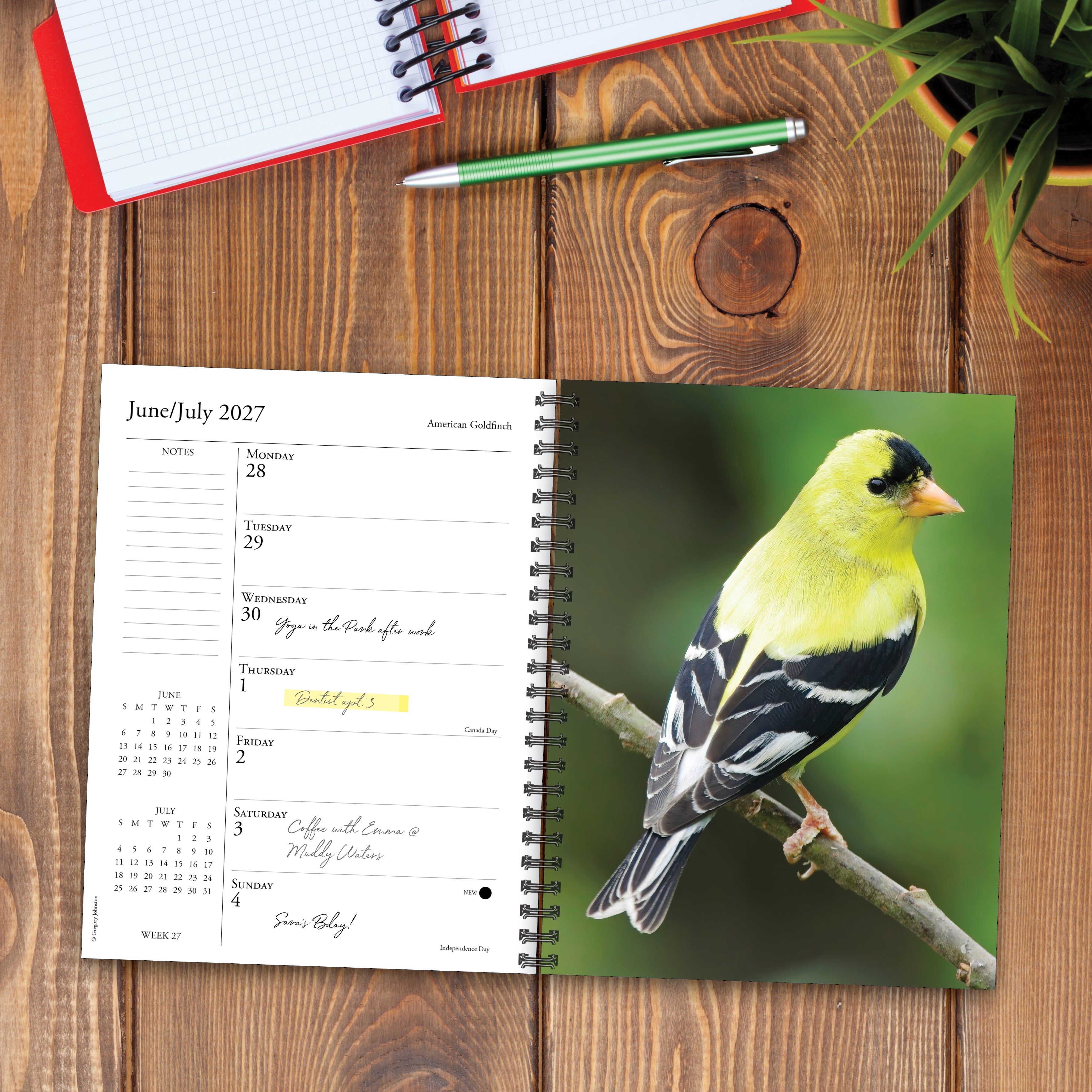 Willow Creek Press, Backyard Birds 2027 Engagement Calendar