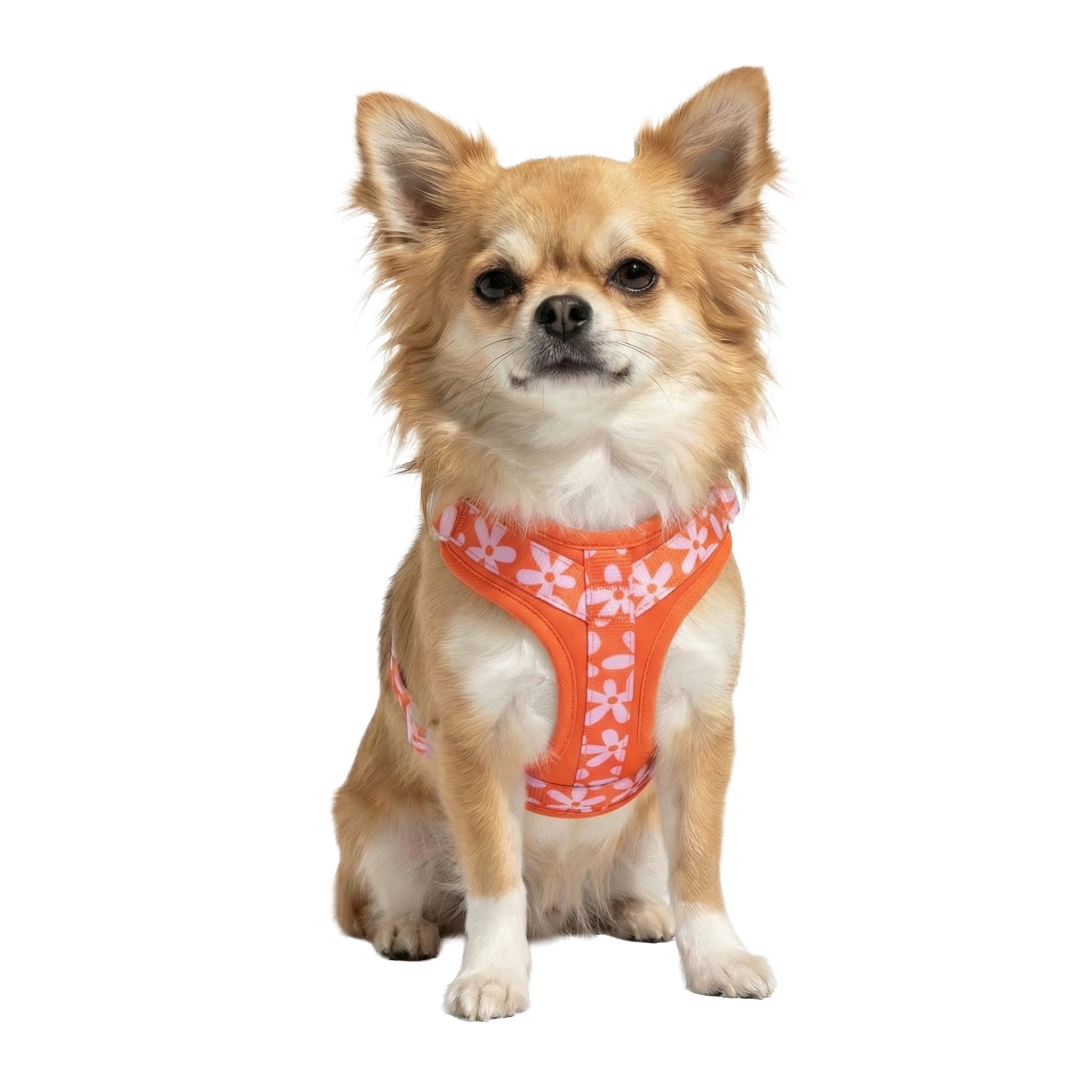 Oodles Wild Blooms Adjustable Mesh Dog Walking Harness, Red, Large