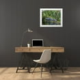 thumbnail image 3 of Richardson, Larry 18x15 White Modern Wood Framed Museum Art Print Titled - An alligator rests on a floating log in a swamp, 3 of 4