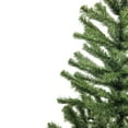 thumbnail image 3 of Northlight Canadian Pine Medium Artificial Christmas Tree - 4' - Unlit, 3 of 6
