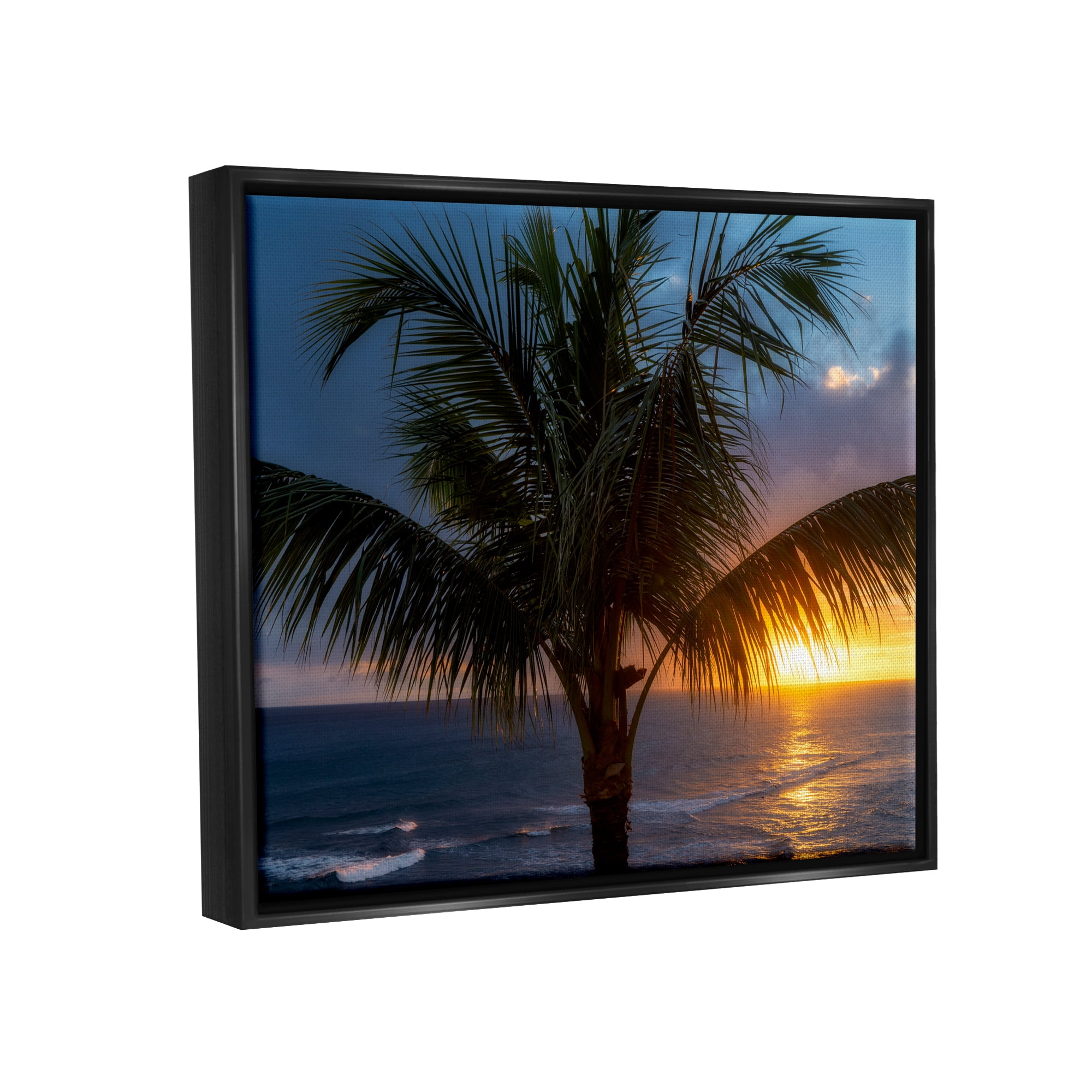 Stupell Industries Tropical Palm Sunset Nature Photography Black Floater Framed Art Print Wall Art, 21 x 17