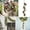 Gold-B, variant on Kokovifyves Home Decor Clearance Blessing Bells Evil Spirit Wind Chimes Witch Bell Door Witchcraft Decor
