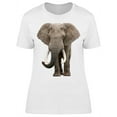 thumbnail image 1 of Large Tusks, Elephant T-Shirt Women -Image by Shutterstock, Female Small, 1 of 2