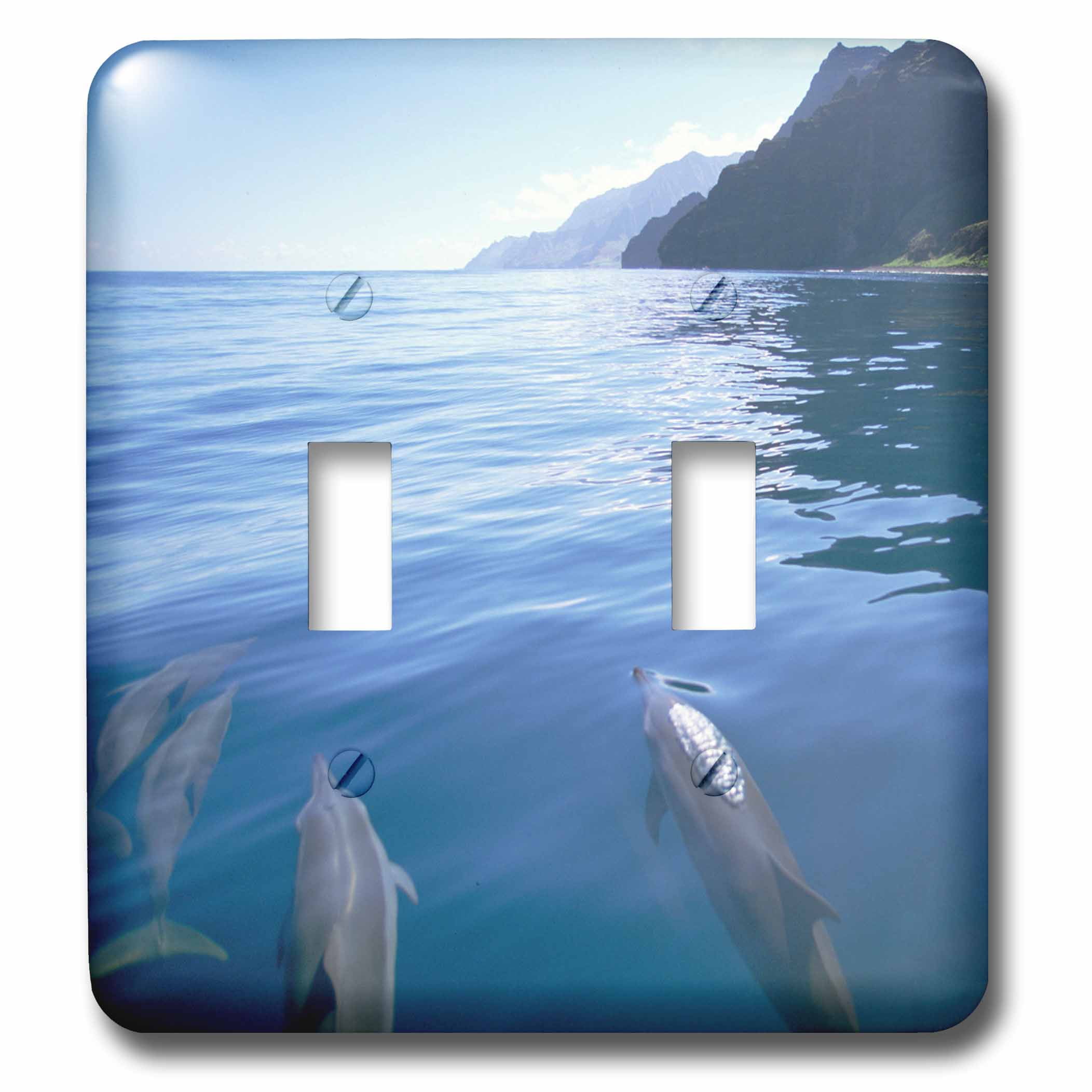 Dolphin, Napali Coast, Kauai, Hawaii, USA - US12 DPB1177 - Douglas ...