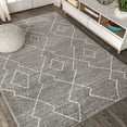 thumbnail image 5 of JONATHAN Y MOROCCAN HYPE 8 x 10 Area Rug, Alia Moroccan Beni Souk - Gray/Cream, MOH202B-8, 5 of 10
