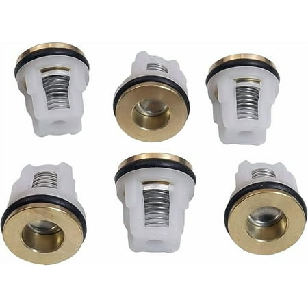 6 Pcs AR-42123 Pressure Washer Pump Check Valve Kit Replacement for Pressure Washer Valve Kit Replacement for RMW RMV Series Pumps EZ Start AR 42123