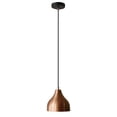 thumbnail image 1 of Moe's Suspension Enrico en Bronze, 1 of 3