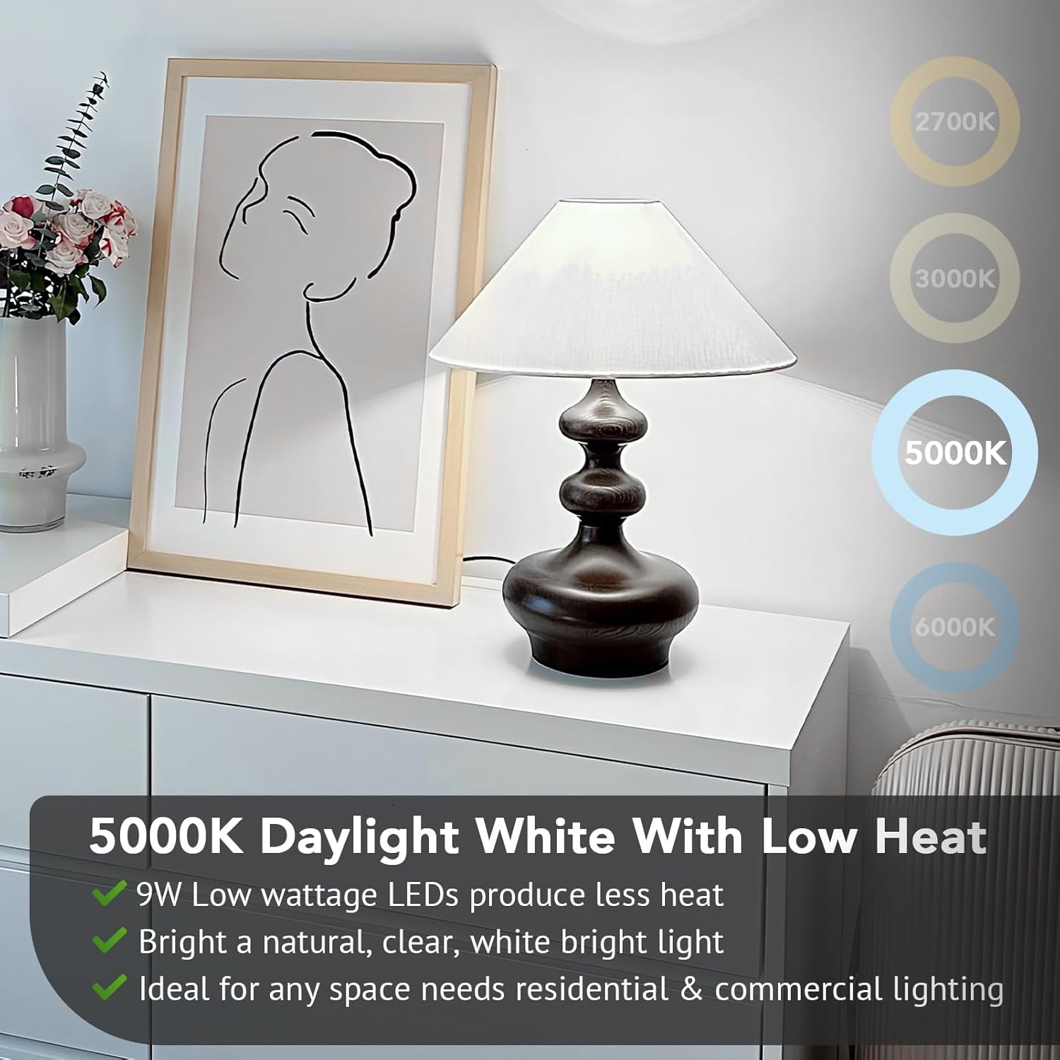 24-Pack A19 LED Light Bulbs, 60W Equivalent, Daylight White 5000K, E26 Base, 850 Lumen, Non-Dimmable, 9W Bright White LED Bulb