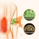 thumbnail image 5 of pstuiky Cinturón de soporte lumbar autocalentable de ajenjo transpirable para la zona lumbar y la espalda baja alivia el dolor de cintura., 5 of 7