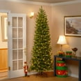thumbnail image 4 of National Tree Company 7.5 Pied Pré-Éclairé Douglas Sapin Arbre de Noël, 4 of 6