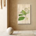 thumbnail image 2 of PixonSign Canvas Print Wall Art Wood Style White Flowers & Green Leaves Floral Wildlife Illustrations Modern Art Traditional Relax/Calm Multicolor Pastel for Living Room, Bedroom, Office - 12"x18", 2 of 5
