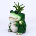 thumbnail image 4 of WISOLT Frog Resin Plant Pot - Cartoon Cute, Ideal for Succulents, Decorative for Garden & Home., 4 of 5