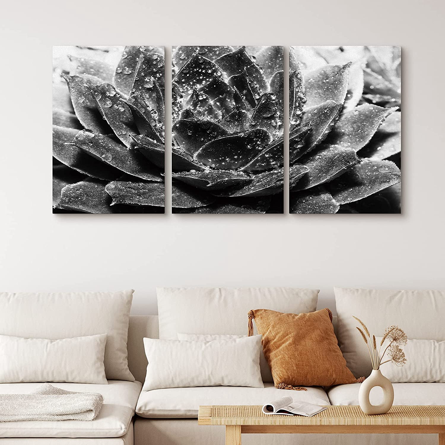 PixonSign Canvas Print Wall Art Set Blooming White Rose Succulent ...