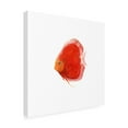 thumbnail image 2 of Trademark Fine Art 'Discus Fish V' Canvas Art by Emma Scarvey, 2 of 3