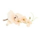thumbnail image 4 of Boutonniere de boda 5 piezas de flor de boda artificial permanente para fiesta de baile ANGGREK  Otros, 4 of 8