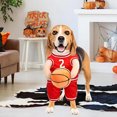 thumbnail image 5 of Dog Basketball Costume, Dog Basketball Costume with Ball, Basketball Dog Costume, Basketball Costume for Dogs, Dog Basketball Player Costume, Basketball Dog Halloween Costume, 5 of 5