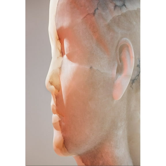 Jaume Plensa: Inner Matter, (Hardcover)