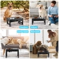 thumbnail image 3 of Cuencos Elevados Lapensa Acero Inoxidable Soporte Ajustable para Perros Medianos y Grandes, 3 of 7