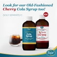 thumbnail image 4 of Cola Syrup with Pure Cane Sugar, Gallon, 4 of 7