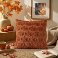 thumbnail image 5 of decorUhome Fall Throw Pillow Covers 18x18 Pack of 2, Soft Plush Faux Wool Couch Pillow Covers, Light Rust Pumpkin (Pillow Cover Only, No Inserts Included), 5 of 7