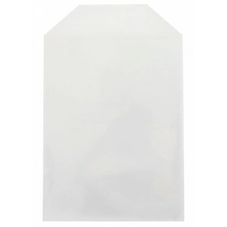- CheckOutStore 100 CPP Clear Plastic Sleeve with Flap 80g (Fits 14mm DVD Case Artwork)