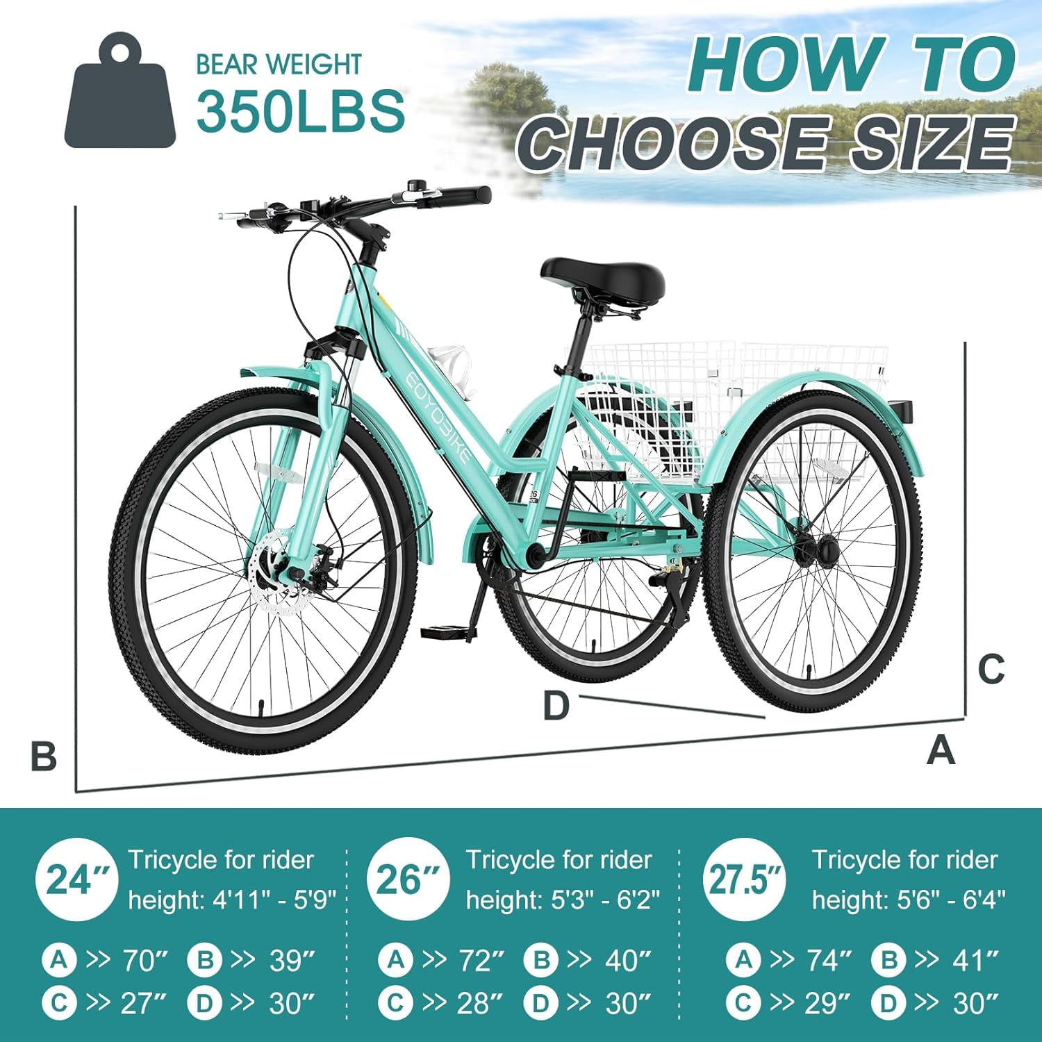 Lilypelle Mountain Tricycle for Adults, MTB 7 Speed Three Wheel Bike, 24/26/27.5 Inch Adults Trikes w/ Disc Brake & Cargo Basket for Women, Men, Seniors