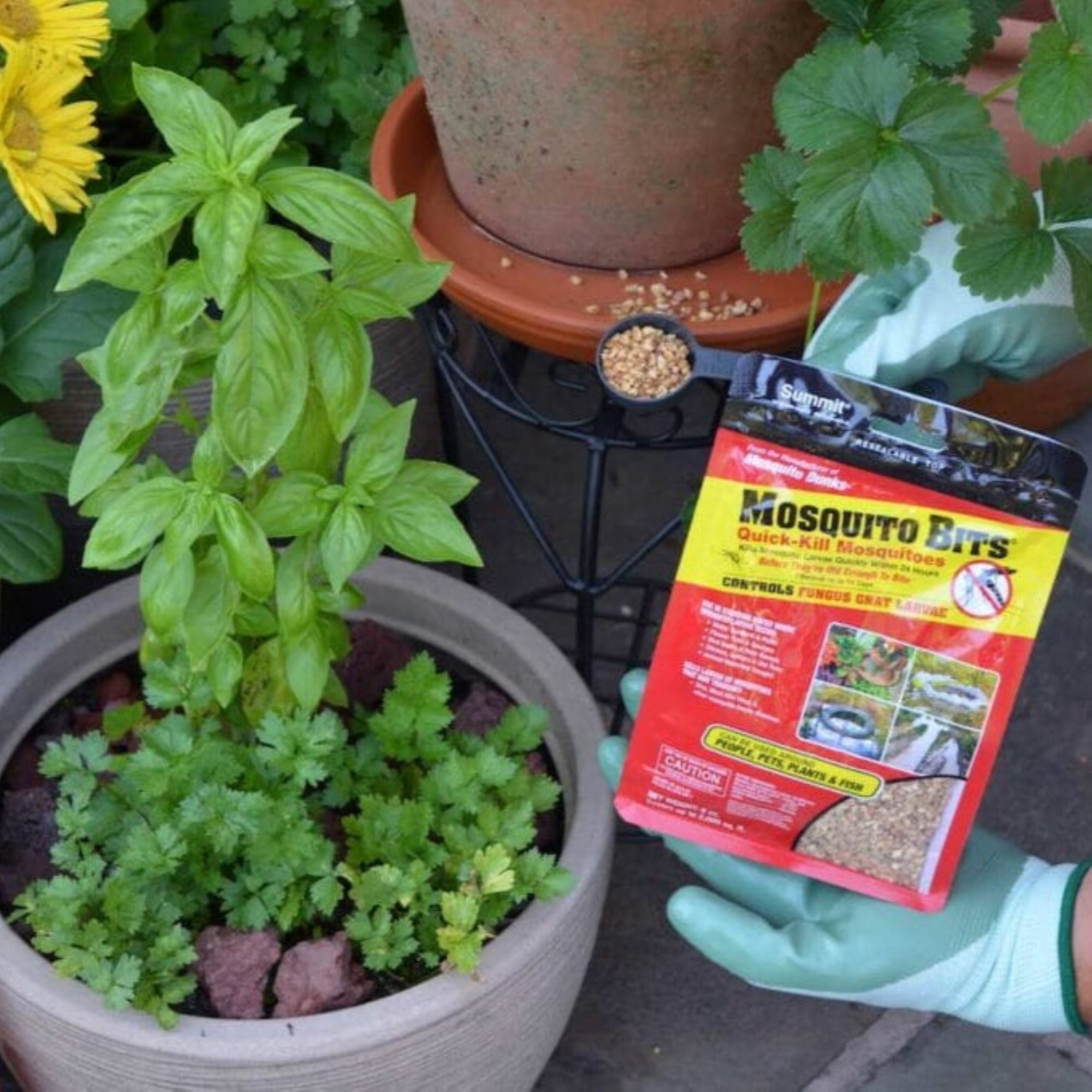 Summit Mosquito Bits Quick-Kill Mosquito, Kills Mosquitoe Larvae, 30 oz.