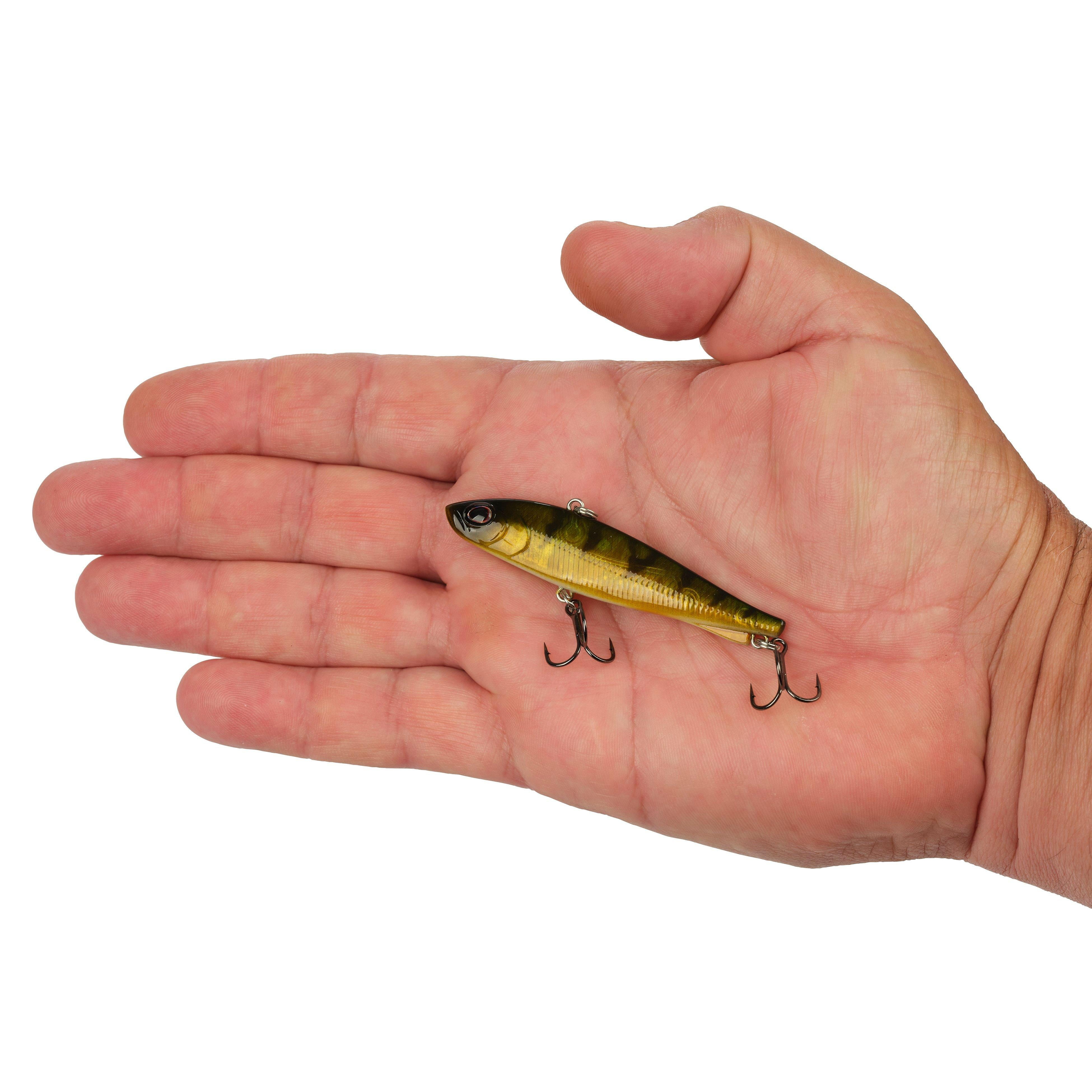 Berkley Ripfish, 7, Perch