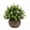 E, variant on FENGGHAO Artificial Potted Plant Small Fake Eucalyptus Tabletop Succulent For Desk Home Office Decor Yellow