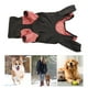thumbnail image 3 of Ropa De Invierno Para Perros, Chaqueta De Poliéster De Cuello Alto Para Perros De 4 Patas Para Exteriores Para Perros ANGGREK  Otros, 3 of 8