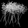 thumbnail image 2 of Matsuzay 50 Uds. Ramo de capullos de cristal Artificial autoensamblaje de Navidad tallos de gota de agua cuentas ramas de flores boda Artesanía Matsuzay  HA084405-00, 2 of 6