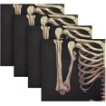 thumbnail image 4 of GZHJMY Halloween Skeleton Cloth Napkins Set of 6,Reusable Washable Polyester Dinner Table Napkins for Kitchen,Dining,Restaurant,Party Decoration, 4 of 7