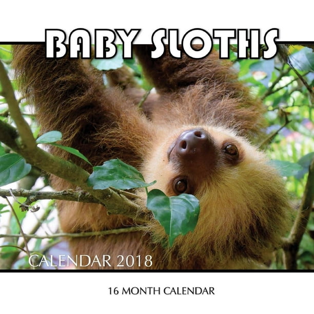 Baby Sloth Calendar 2018 16 Month Calendar (Paperback)