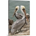 thumbnail image 1 of Great BIG Canvas | "CA, Pismo Beach. Brown Pelicans on Pelican Point" Canvas Wall Art - 24x36, 1 of 2