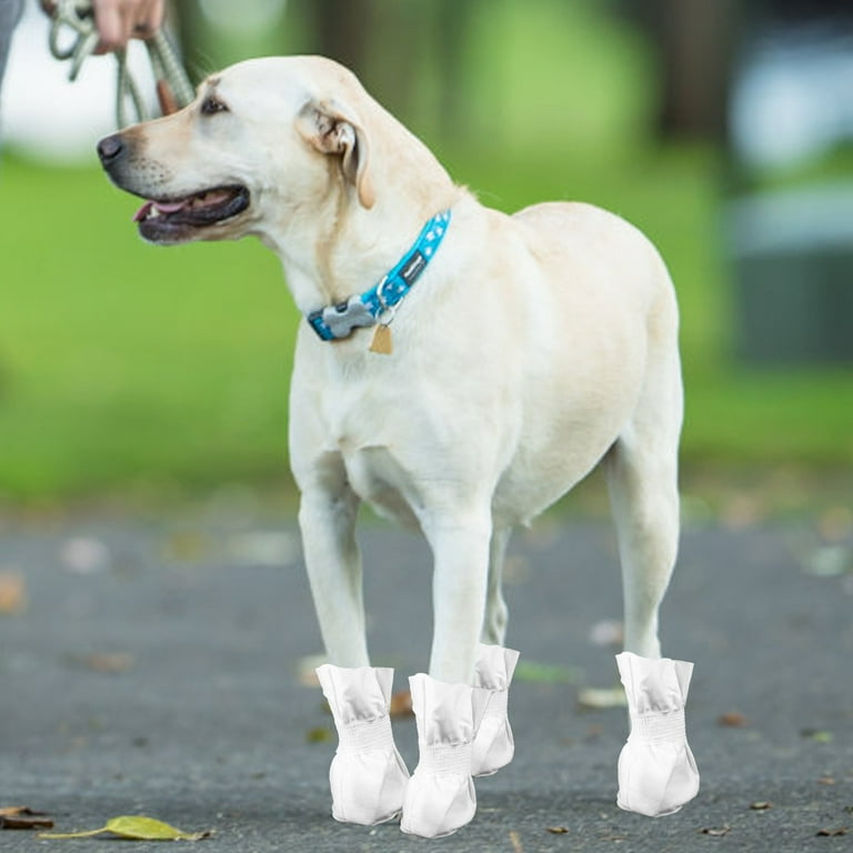 Disposable best sale dog shoes