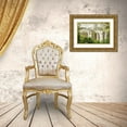 thumbnail image 3 of Jaynes Gallery 32x23 Gold Ornate Wood Framed with Double Matting Museum Art Print Titled - Brazil-Iguazu Falls Landscape of waterfalls, 3 of 4