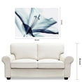 thumbnail image 6 of Empire Art Direct Amaryllis Frameless Free Floating Tempered Glass Panel Graphic Wall Art, 32" x 48" x 0.2", Ready to Hang, 6 of 12