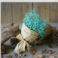 thumbnail image 1 of EGNMCR Room Decor Home Decor Natural Dried Flower Baby's Breath Home Decor Natural Dried Flower Full Stars Natural Dried, 1 of 4