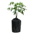 thumbnail image 1 of Breathable And Water-absorbent Garden Plant Insulation Cover For Fruit Trees To Prevent Cold And Frost, Durable And  Pp Protective Cover-40x45cm Material: Oxford Cloth + Aluminum, 1 of 8
