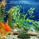 thumbnail image 4 of Hierba Artificial Del Acuario De Bambú Vivo Hierba De La Simulación Del Acuario Para El Tanque De Pescados ANGGREK Otros, 4 of 8
