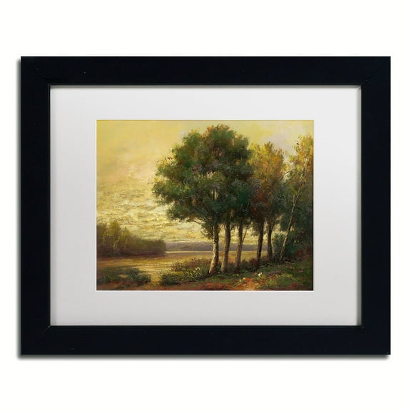 Trademark Fine Art "Tranquility" Canvas Art by Daniel Moises, White Matte, Black Frame