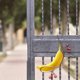 thumbnail image 5 of Insect Banana Feeder Outdoor Hanging Insect Feeder For Habitat Garden Decor, 5 of 6