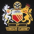 thumbnail image 3 of Fan Originals Manchester Crest Bar Scarf, 3 of 4